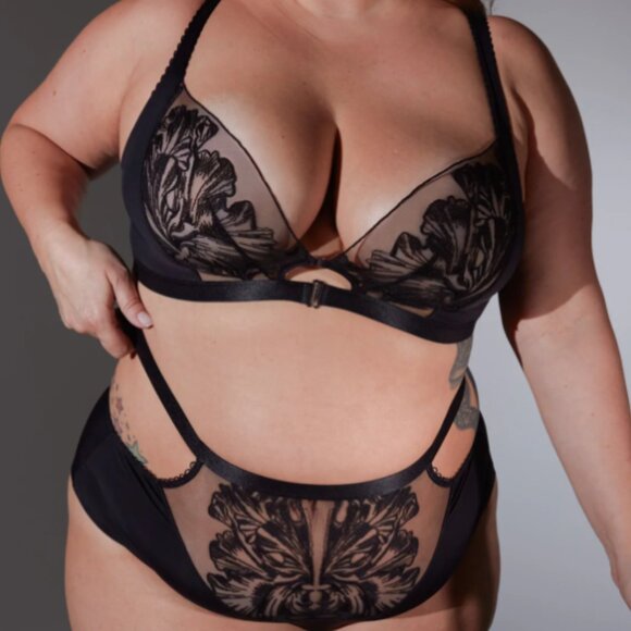 ISO Looking for Thistle and Spire O'Keefe Bralette and / or panties in 2X 3X - Picture 1 of 1